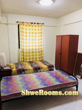 Look for Male Room Mate