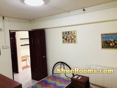 Look for Male Room Mate