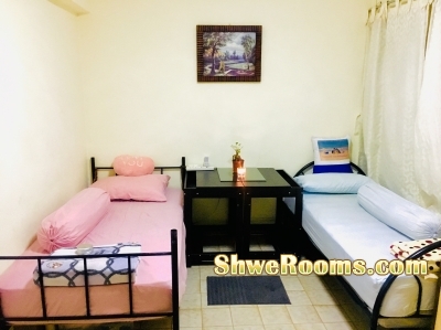 Common room for rent (male)