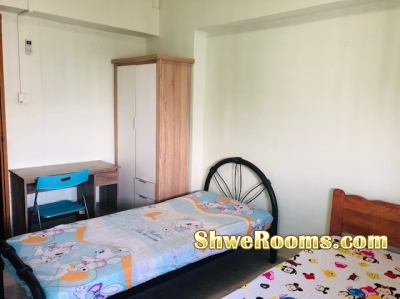 LOOKING FOR MALE ROOM MATE(WOODLANDS)