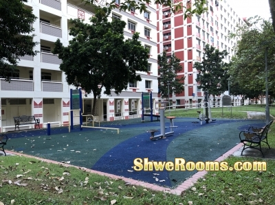 Looking For Short/Long Term One Common room at Tampines