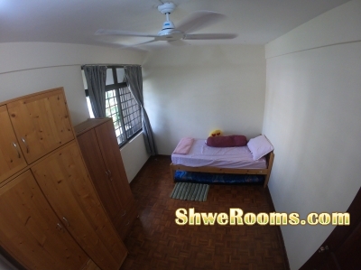 Rent for 1 Male Single Room