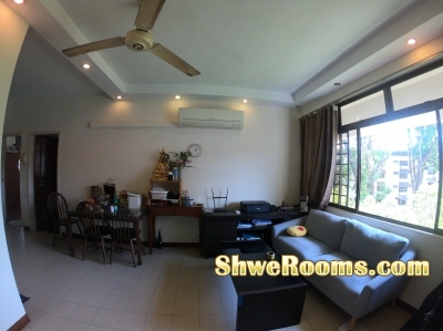 Rent for 1 Male Single Room