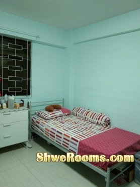 Looking for lady room mate 