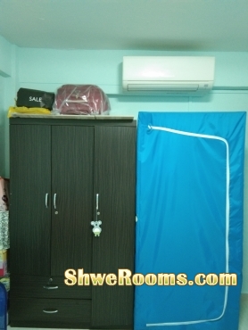 Looking for lady room mate