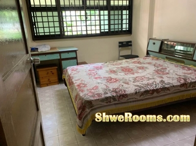 Long Term or Shoer Term ( HDB Room for rent near Toa payoh / Braddell )