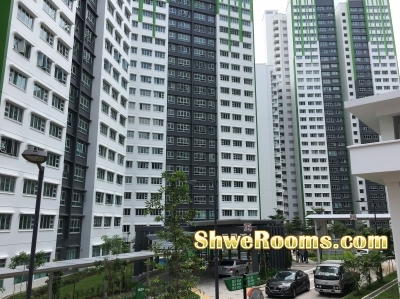 ##Room for rent $600 All in, Marsiling MRT