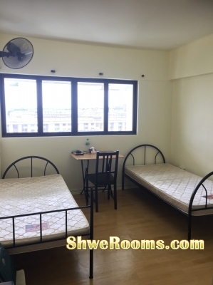 One Male / One Female Available for Spacious Bedroom at Eunos .. Short Term also welcome..