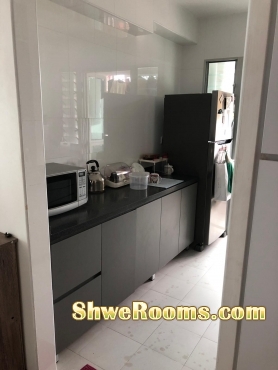 looking for a professional single  for a common room 