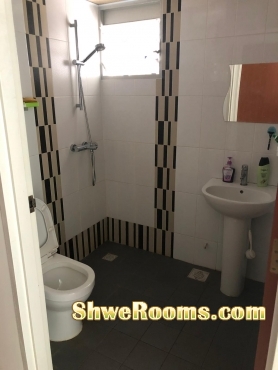 looking for a professional single  for a common room