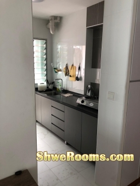 looking for a professional single  for a common room
