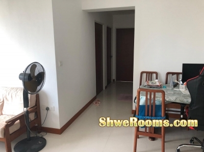 looking for a professional single  for a common room