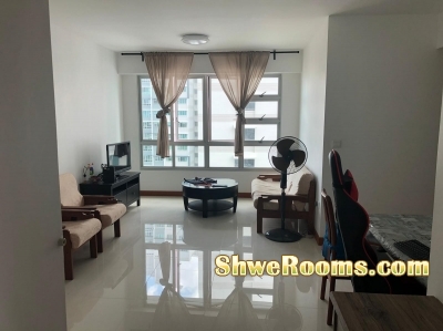 looking for a professional single  for a common room 