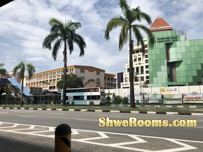 Looking for Female Share Common room at Tampines