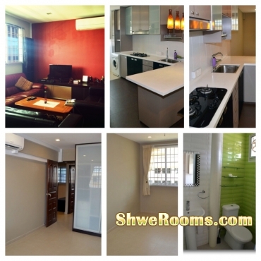 Common room available for male/female or couple at blk 234 simei