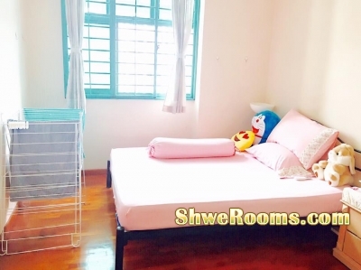 Common room rent @ Admiralty for ladies only 