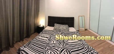 looking for a professional working lady to stay in cozy common room with air-con at Bedok