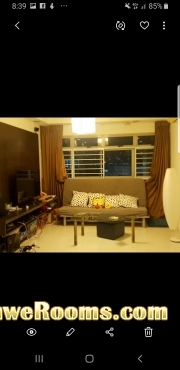 Looking flatmate for master bedroom