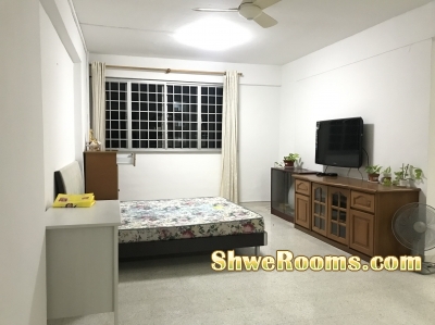 Looking for Female roommate @Geylang Bahru (Long Term/Short Term)