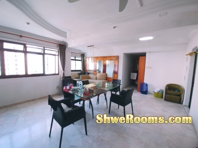 One Common Room Availabe for Long / Short Term in June