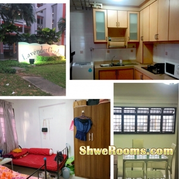 &eth;&Yuml;&OElig;&iquest;&eth;&Yuml;&OElig;&iquest;1 Lady Share Common Bedroom Lavender MRT &eth;&Yuml;&OElig;&iquest;&eth;&Yuml;&OElig;&iquest;