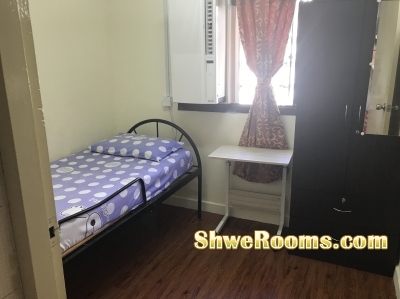 Single Room for rent @ Queenstown