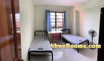 Rented..one male roommate to share common  (1st July)