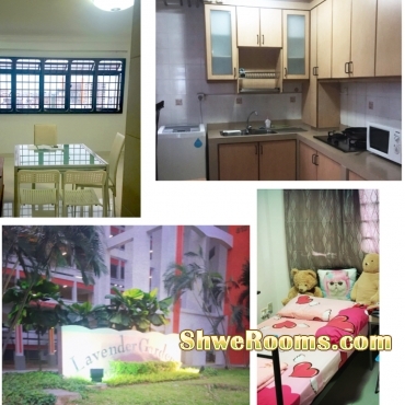 &eth;&Yuml;&OElig;&iquest;&eth;&Yuml;&OElig;&iquest;1 Lady Share Common Bedroom Lavender MRT &eth;&Yuml;&OElig;&iquest;&eth;&Yuml;&OElig;&iquest;