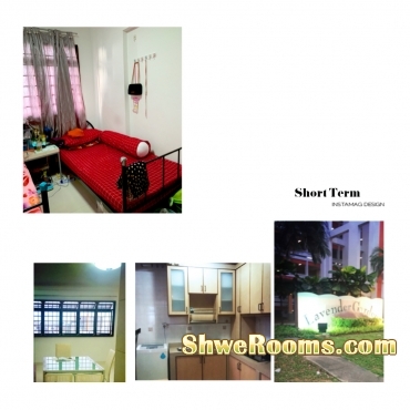 &eth;&Yuml;&OElig;&iquest;&eth;&Yuml;&OElig;&iquest;1 Lady Share Common Bedroom Lavender MRT &eth;&Yuml;&OElig;&iquest;&eth;&Yuml;&OElig;&iquest;