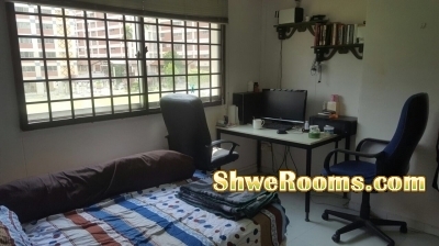 Bishan MRT Common room for rent (No Agent Fee)