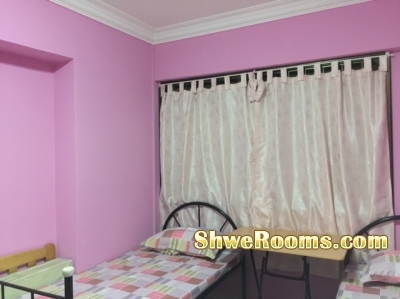 Room Vacancy for 1 ladies @ Sengkang