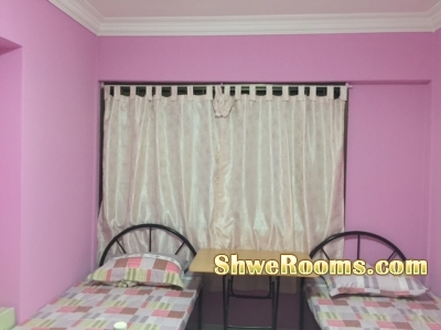 Room Vacancy for 1 ladies @ Sengkang