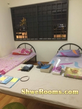 Near Boonlay Mrt, one lady to share Common room for rent 