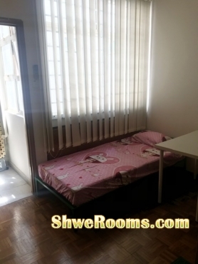 Looking for one lady roommate (condo)