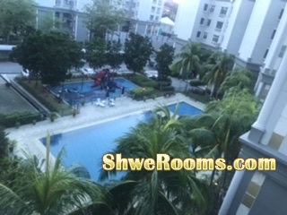 Looking for one lady roommate (condo)