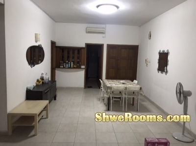 Looking for one lady roommate (condo)