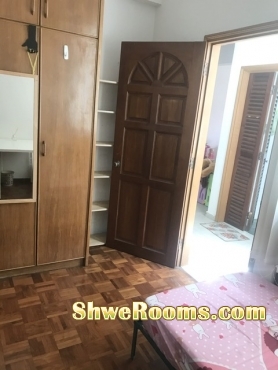 Looking for one lady roommate (condo)