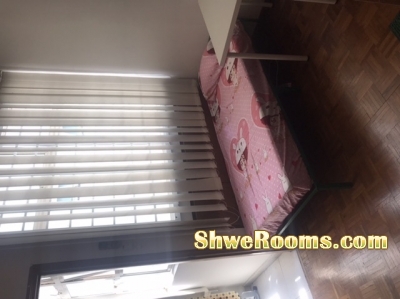 Looking for one lady roommate (condo)