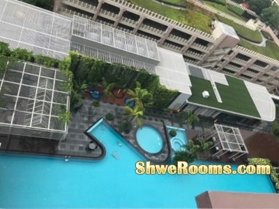 Penthouse Condo Common Room Rental @Yishun