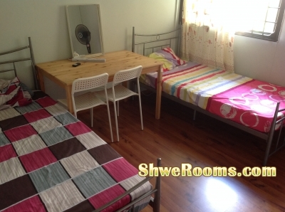 Short/Long term available One Common Room and 1 male room mate @ ADMIRALTY