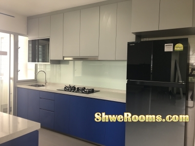 COMMON ROOM(470$) AVAILABLE WITH AIRCON ,WIFI,NO COOKING