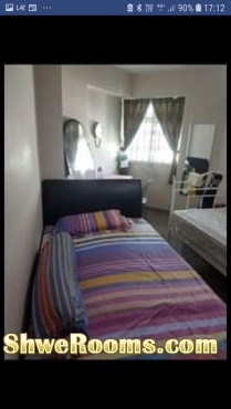 One male roommate to share a common bed room at Bukit Gombak