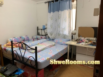 Looking for One  Male Roommate Share Common Room near by Toa Payoh MRT (Long /Short Term)