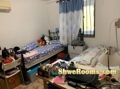 Looking for One  Male Roommate Share Common Room near by Toa Payoh MRT (Long /Short Term)