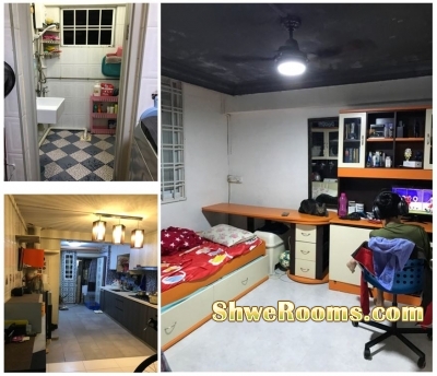 Big Common Room Rental For Male or Couple or Short Term/Near to Braddell Mrt