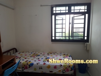 SINGLE ROOM AT WOODLAND