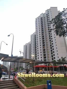 Looking for Male room mate @ Clementi-$400 / $750 per room