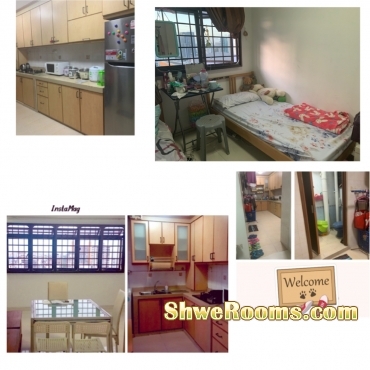 &eth;&Yuml;&OElig;&iquest;1 Lady Share Common Bedroom Lavender MRT &eth;&Yuml;&OElig;&iquest;