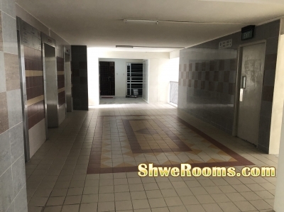 HDB room for rent for a lady at Near Aljunied MRT &Mountbatten MRT