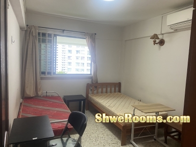 Blk411 Common Room to rent 1July